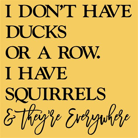 I Don't Have Ducks in a Row - Finding Clarity in Chaos.